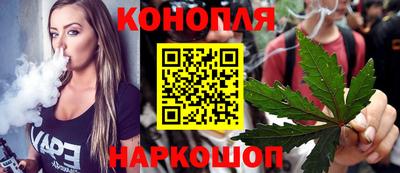крисы Кулебаки