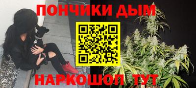 крисы Кулебаки