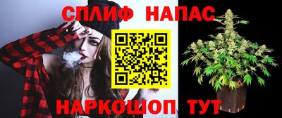 крисы Кулебаки