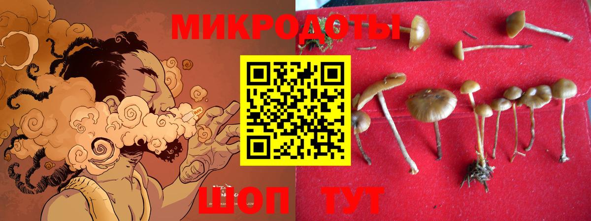 Богданович  Псилоцибиновые грибы мицелий  Вход с VPN 